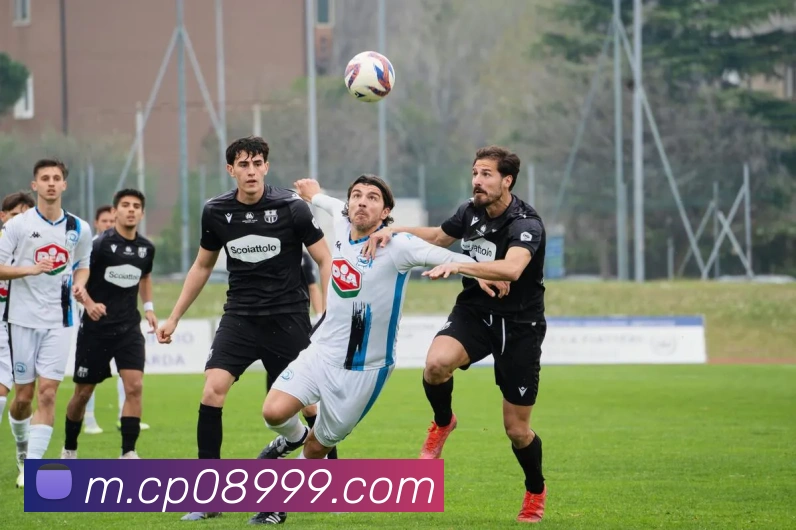 大发彩票平台生态图